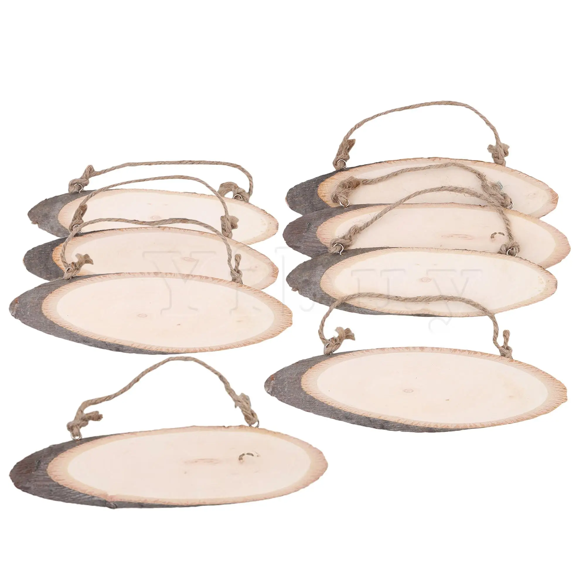 

Original Ecological Wood Log Slices With Rope Wooden Ornaments Set of 8
