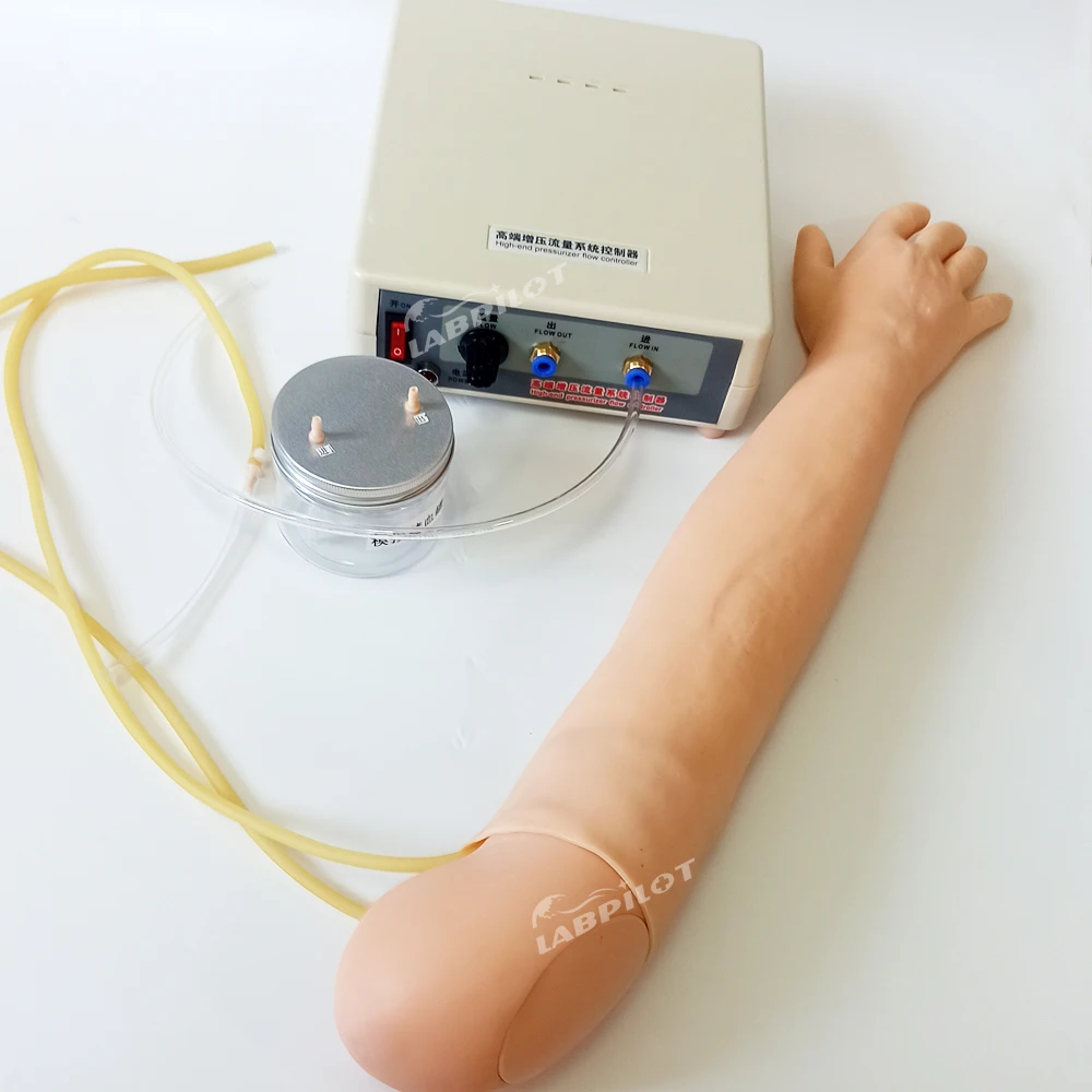 Полнофункциональный тренировочный рычаг IV Venipuncture I.M. Модель для инъекций с
