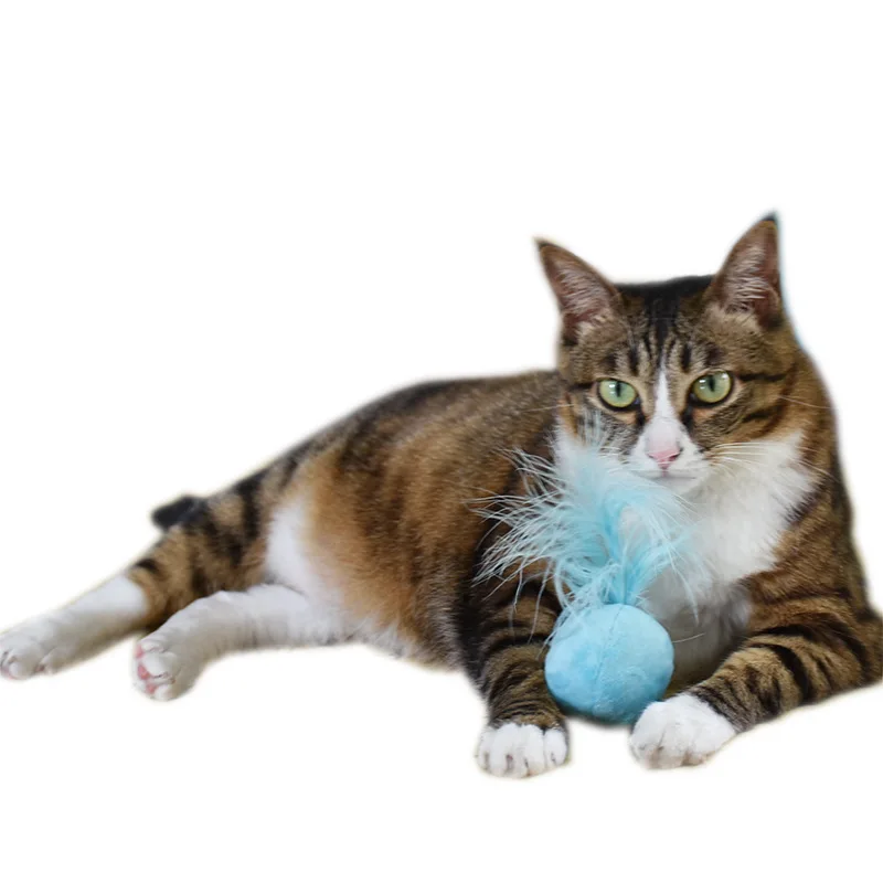 

3Pcs Cat Interactive Toy Catnip Bell Ball Plus Feather Ball Interactive Pet Toy Scratch Natural Catnip Ball Training Pet Supply