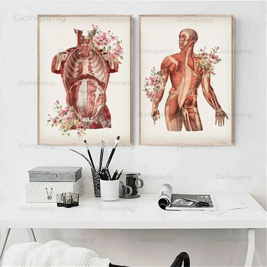 Холст для живописи человеческого тела мышцы Структура фоновая фотография в
