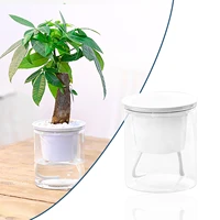 automatic water absorbing flower pot hydroponics plastic home wall mounted potted plant bonsai mini garden flower pot