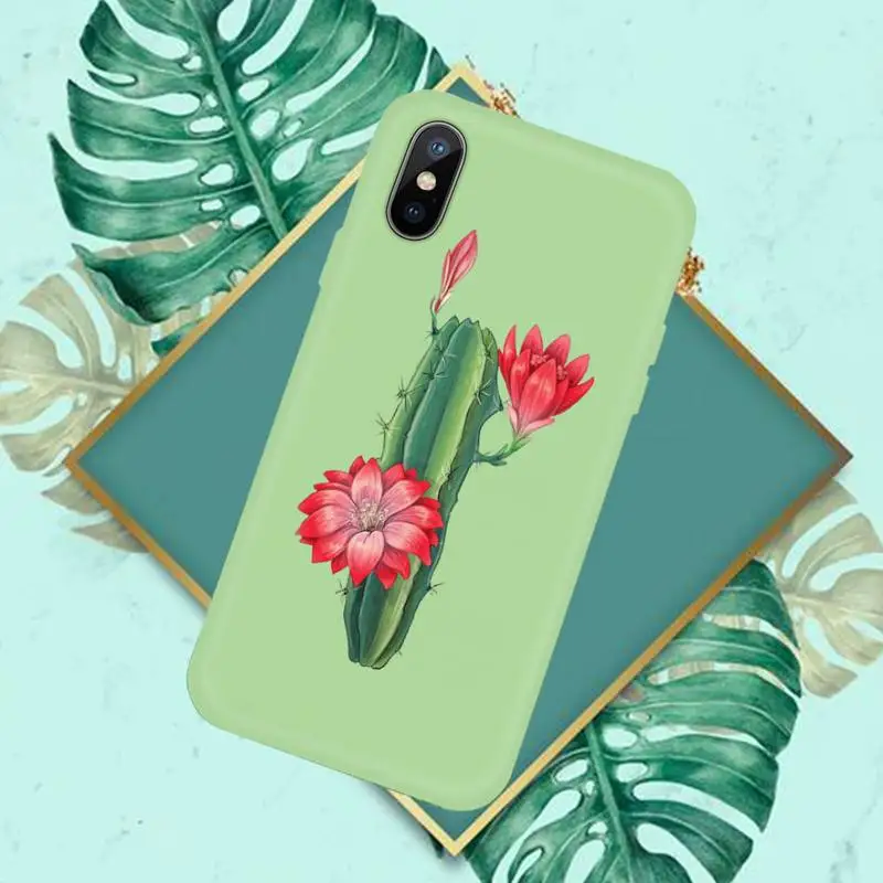 

Cute cactus Green plants Phone Case Candy Color for iPhone 11 12 mini pro XS MAX 8 7 6 6S Plus X SE 2020 XR