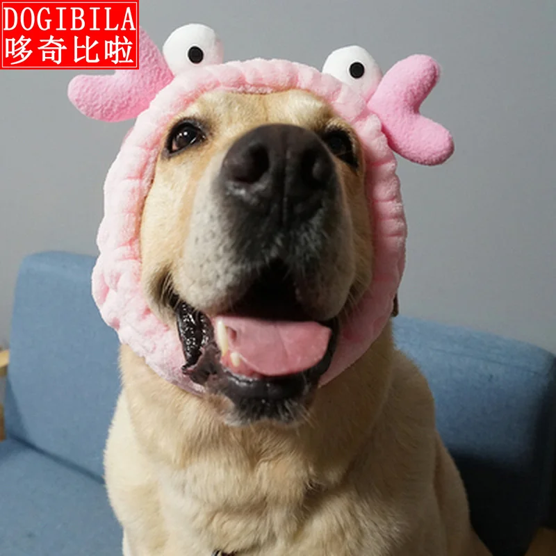 Домашние животные продают Милые головные уборы Собака Золотой мулла брадоки