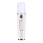 Нано-спрей ASHBERRY