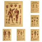 Купите 3 и получите 4 стиля, человеческая голова, кость, структурная анатомия, винтажный постер из крафт-бумаги, настенная наклейка, картина, домашний декор