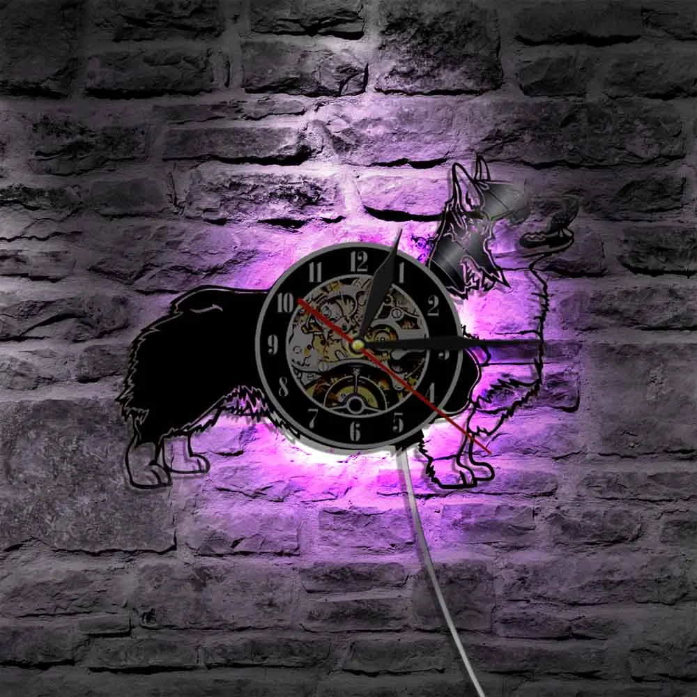 Из изображением собаки породы Вельш-корги-кардиган собака виниловых пластинок