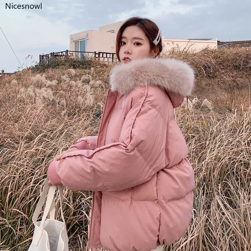 

2020 New Korean-Style Cotton-Padded Jacket Loose Ins down Coat Padded Student Quilted Cotton Cloth Winter Coat jacket
