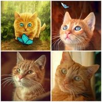 brand new 5d diamond painting animal cartoon cat picture cross stitch kit full drill embroidery living room decoration gift