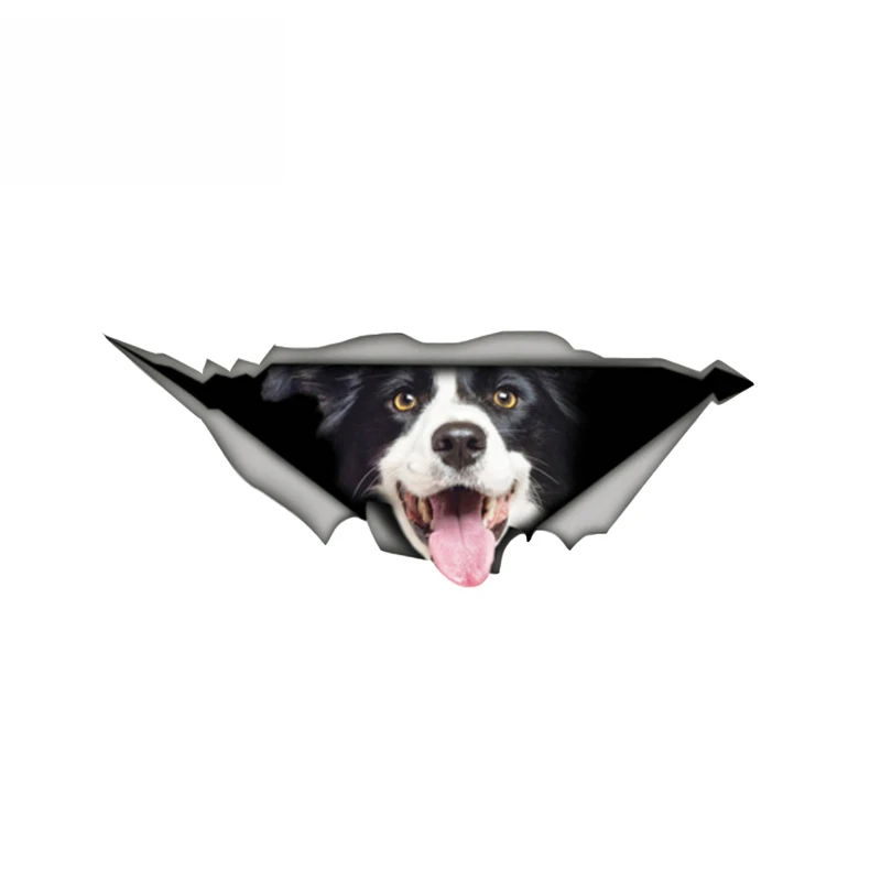 SZWL Border Collie забавная наклейка для автомобилей Pet с собакой Водонепроницаемая