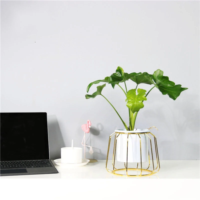 Скандинавский стиль керамические цветочные растения сочный Кактус белый горшок