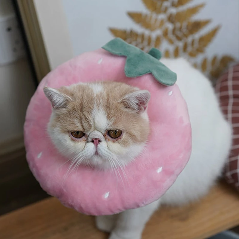 

Legendog 1pc Cat Recovery Collar Soft Adjustable Cat Cone Pet Protective Collar Pet Cone Collar Pet Products