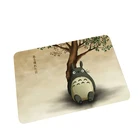 Тоторо печать современный домашний дверной коврик Кухня ковер для спальни коридора Одеяло Ванная комната проданы нащего завода