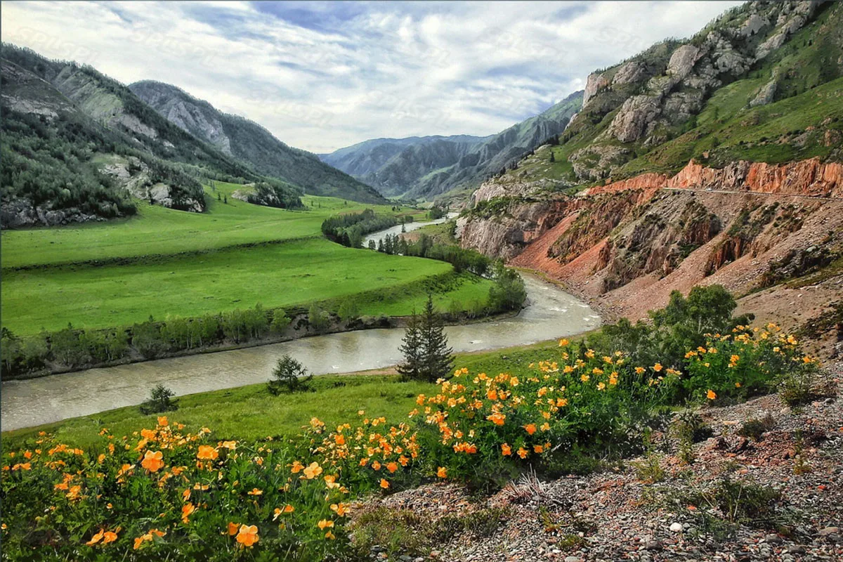 

Diy Diamond Painting Cartoon Anime Style House Courtyard Seaside Scenery Beach Coconut Tree Natural Scenery Paintings