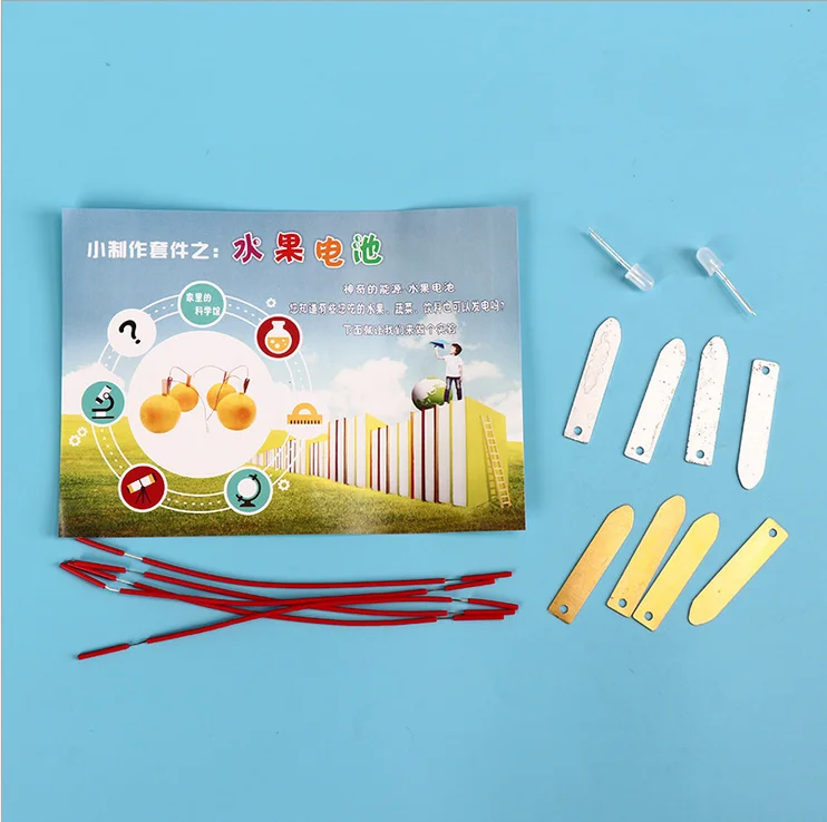 1 Набор Детский развивающий набор для изучения биоэнергетики фруктов и картофеля