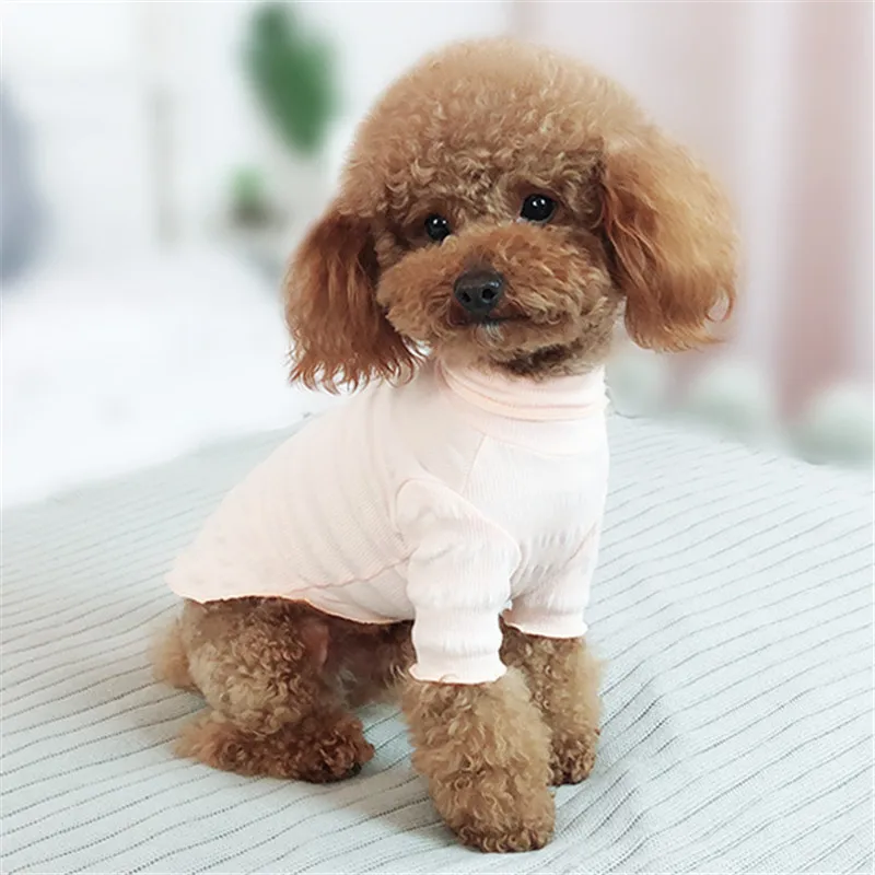 Bigeyedog Собачья Рубашка Весна Лето Одежда для собак джемпер Пудель Бишон