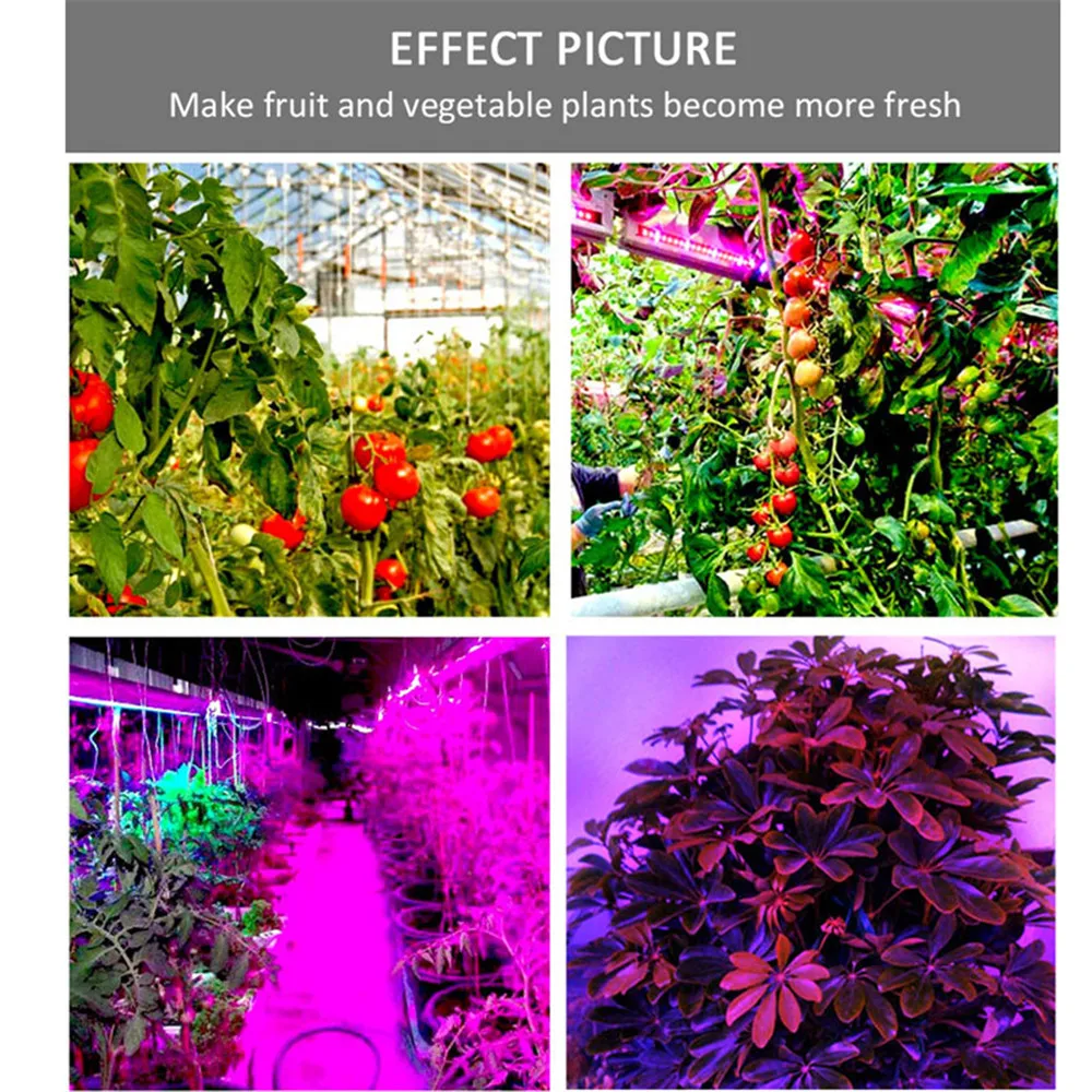 

led grow light strip Full Spectrum Flower Plant the seeds Phyto Growth lamp DC 12V for indoor Greenhouse Hydroponic grows lights