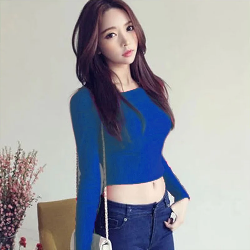 

Women Yoga Suit Long Sleeves Crop Tops Round Neck High Waist T-shirt Slim Fit Tops SEC88