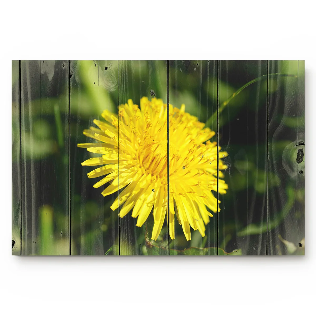 Впитывающий деревянный коврик для кухни и ванной с желтым цветком|Коврик| |