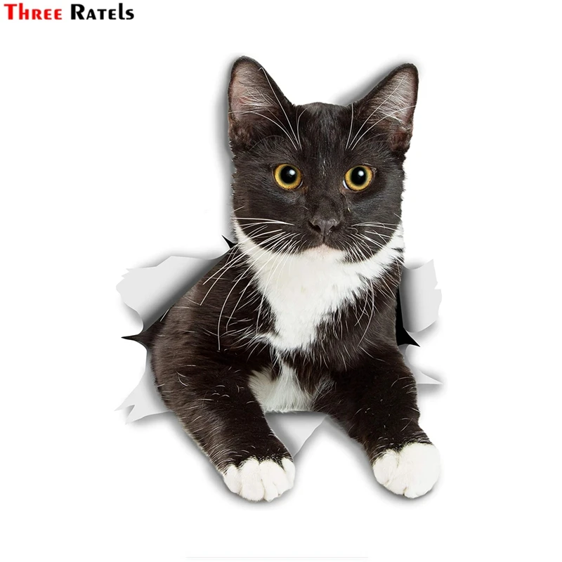 

Three Ratels 3D 1093 Black And White Cat Kitten Stickers Resting Tuxedo Kitty Decal For Wall Fridge Toilet