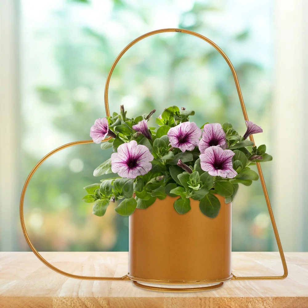 

Flower Pot Iron Art Flower Basket Heart Shaped Planter for Wedding Desktop Decor