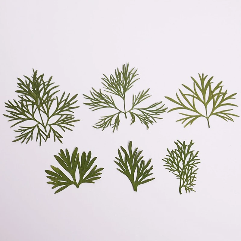 12 шт. сушеные зеленые листья эпоксидная смола | Дом и сад