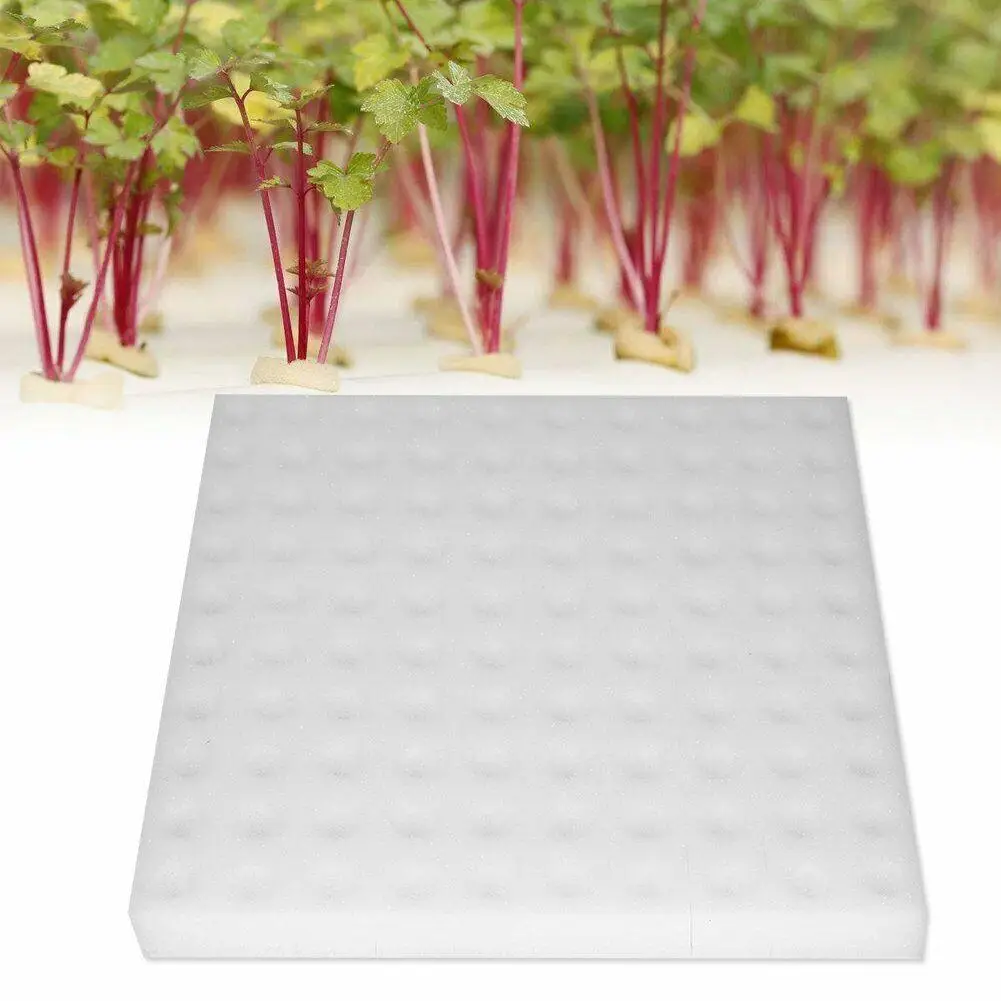 

100 holes Soiless Hydroponic Gardening Plant Tools System 25cm Sponge Planted Vegetable Cultivation V0L6