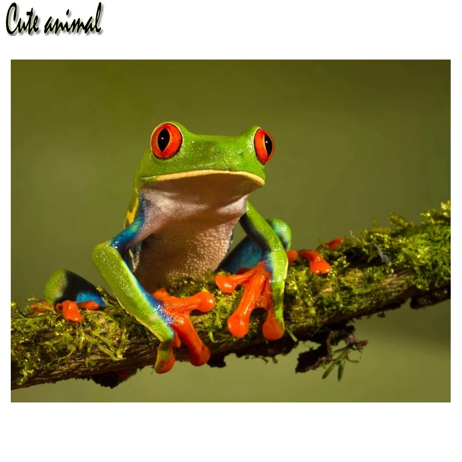 

5D алмазная картина крестиком лягушка милые животные Сделай Сам Алмазная вышивка полный квадрат/круглая дрель рукоделие домашний Декор под...