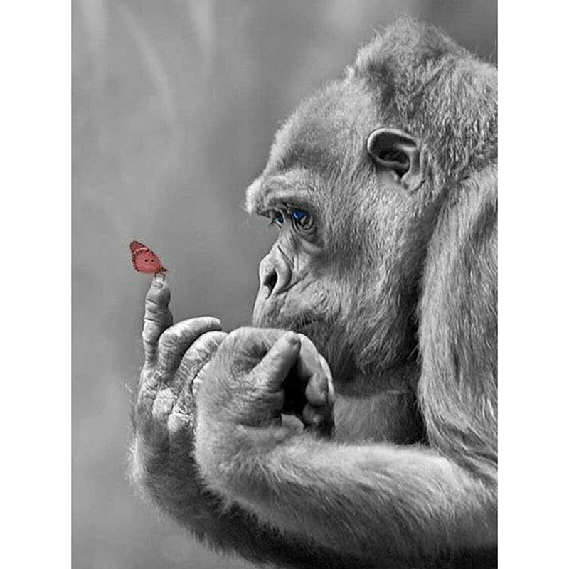 Diamond Embroidery Gorilla Animal 5D DIY Painting Full Square Mosaic Pictures Of Rhinestones Home Decor | Дом и сад