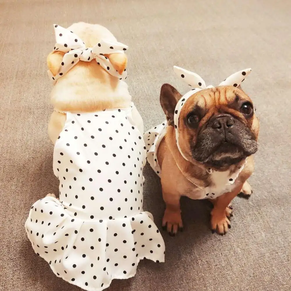 Платье с французским бульдогом комплект повязок для волос модная одежда собак