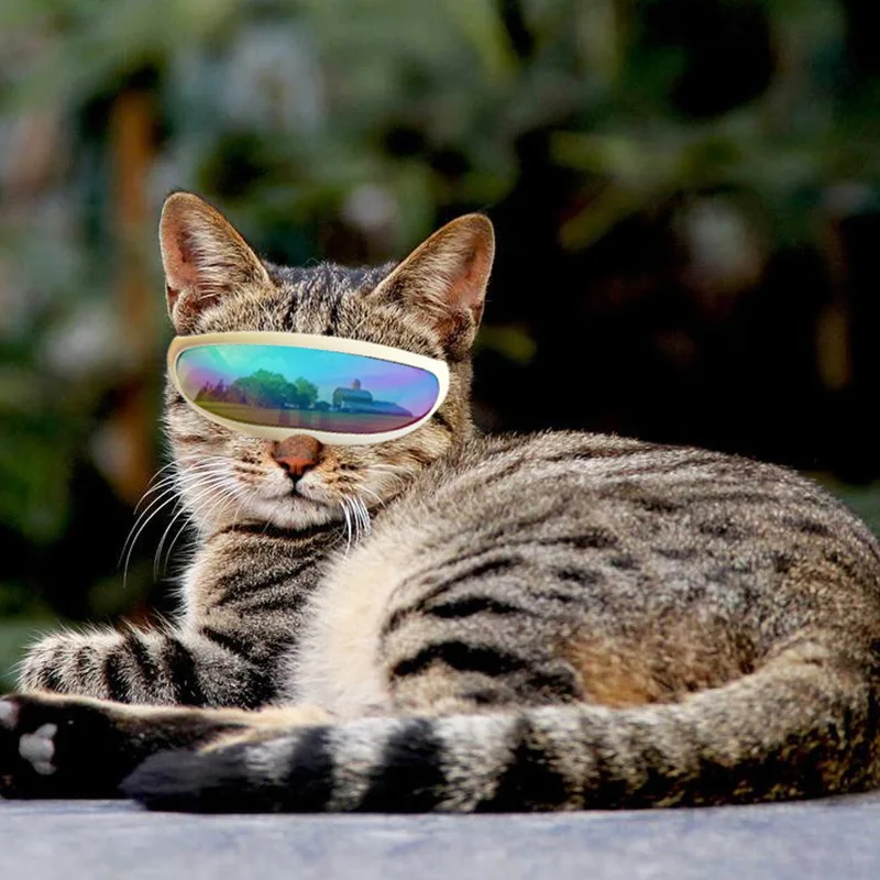 

Солнцезащитные очки для собак, ветрозащитные, с УФ-излучением очки для животных, 1 шт., очки для собаки