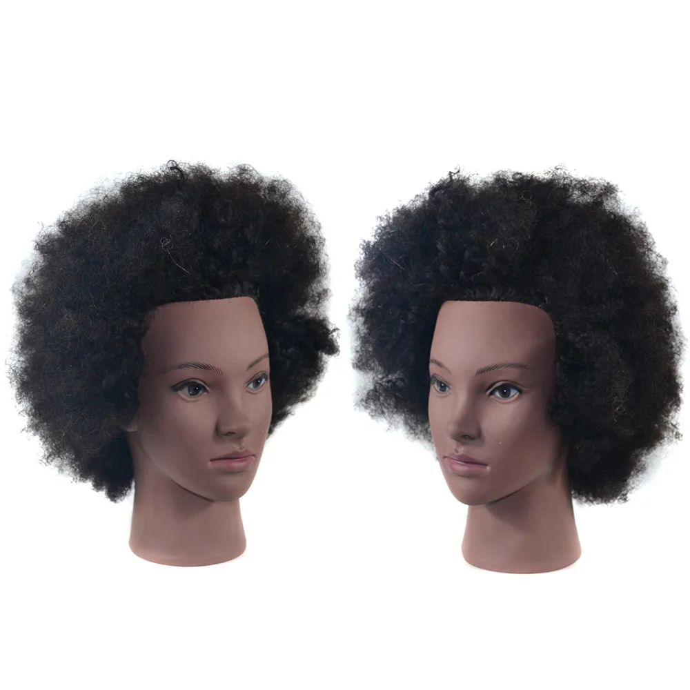 

Afro Mannequin Head 100% Human Hair Cosmetology Mannequin Training Head for Hair Training Styling Braiding Practice