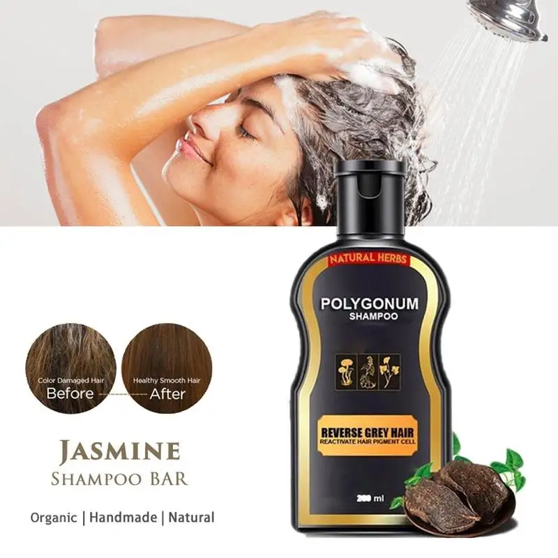 

200ml Polygonum Multiflorum Hair Loss Treatment Shampoo Hair Care Shampoo Bar Ginger Hair Growth Cinnamon Anti-hair Loss Shampoo