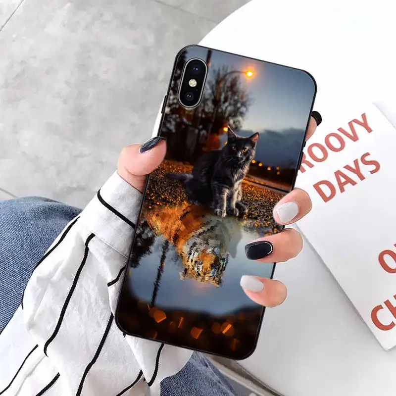 

cat Phone Case for iPhone 11 12 pro XS MAX 8 7 6 6S Plus X 5S SE 2020 XR mini