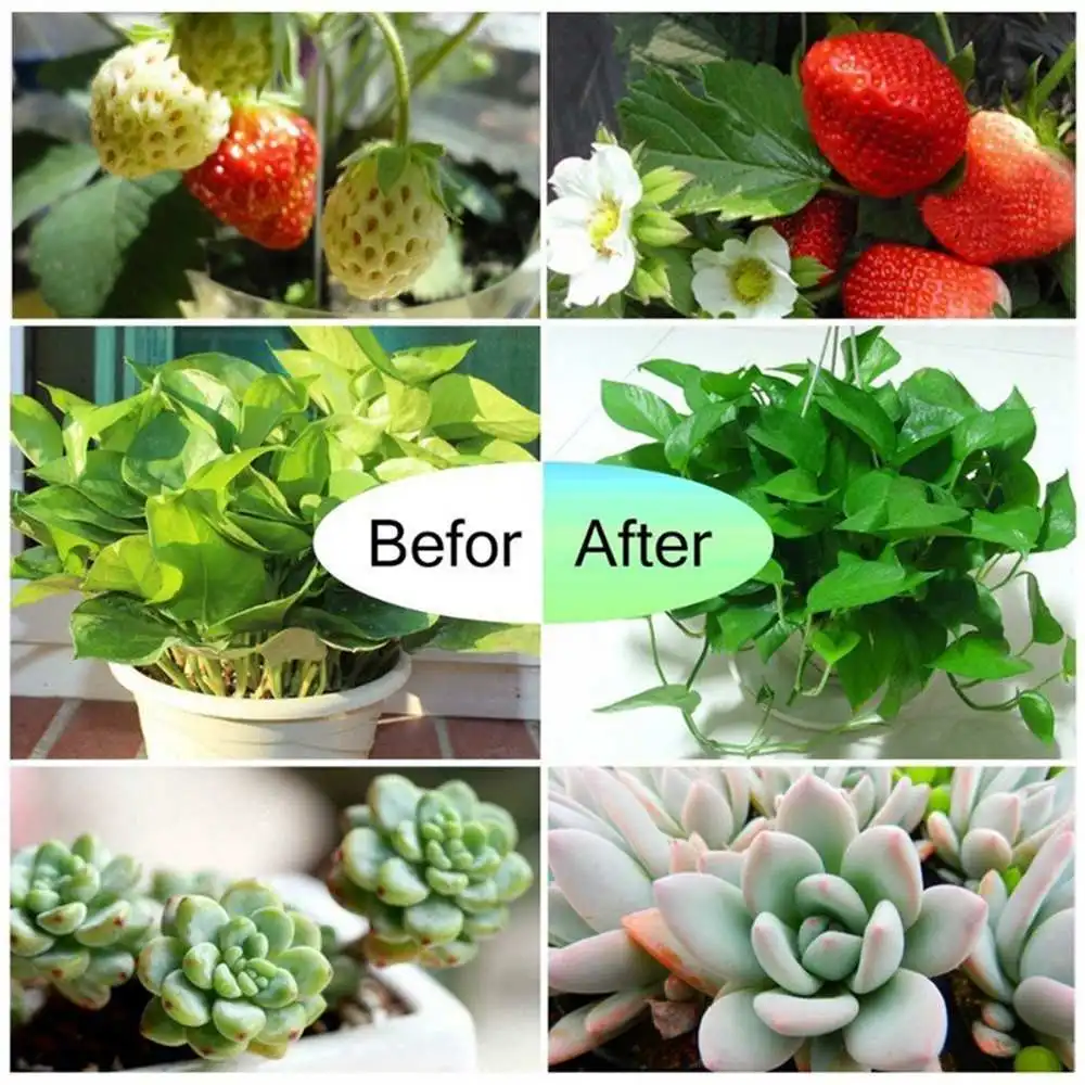 E27 100W SMD2835 LED Grow Light 290LED Full Spectrum Plant Lamp for Flower Seeds Greenhouse Indoor Plants Growing AC85-265V | Лампы и