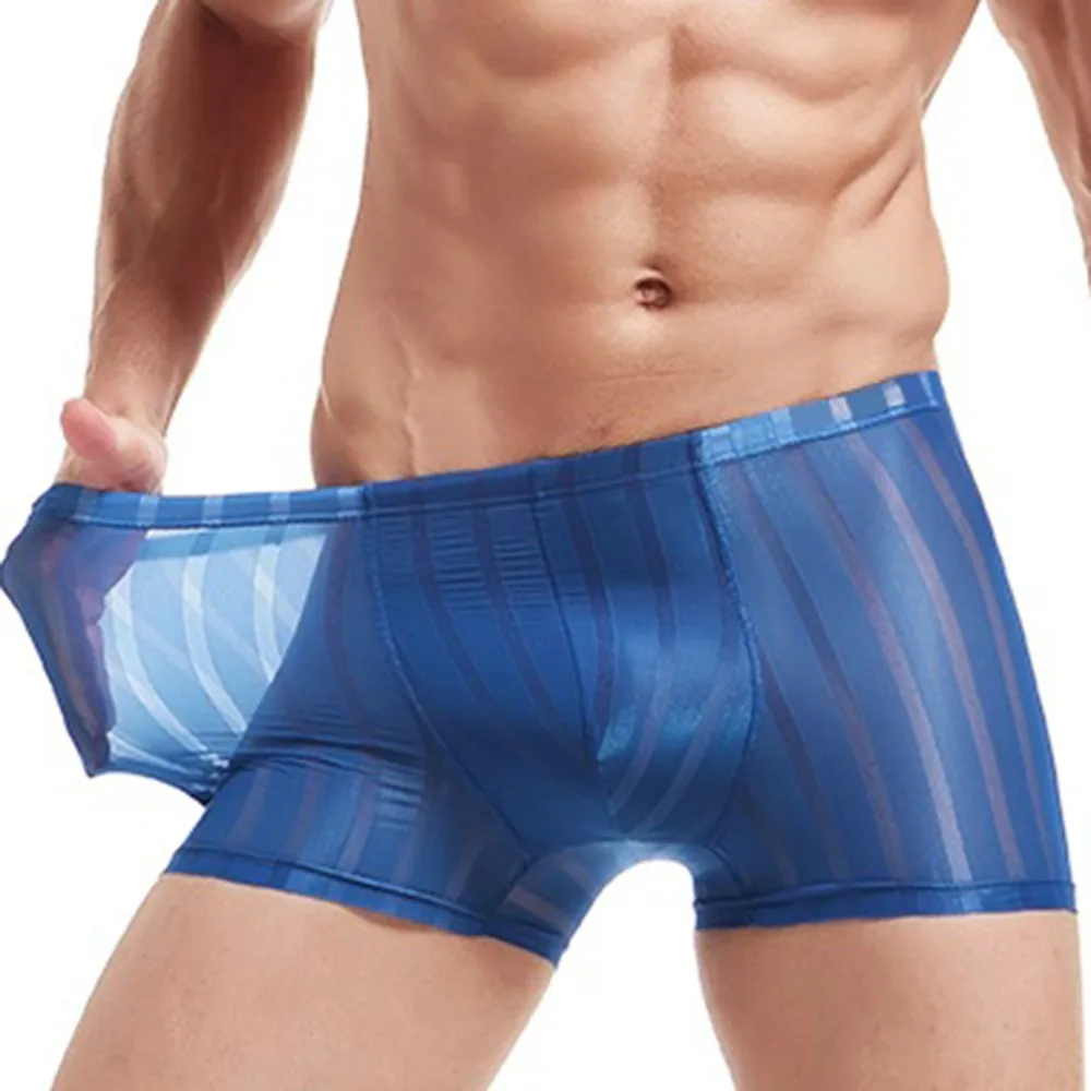 

See-through Boxer Shorts Men Brief Ice Silk Sports Bottoms Short Men's Striped Underwear Sexy Sheer Mesh Lingerie