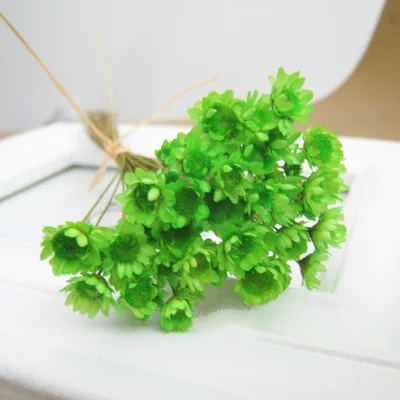 Mint green 200 шт., Denisfen, милые мини-ромашки, декоративные сушеные цветы, маленькая звезда, цветок, натуральный цветок для свадьбы, украшения дома, Флорес - Цвет: Mint green
