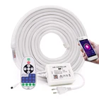 Диммируемая неоновая Водонепроницаемая светодиодная лента, ЕС, США, 220 В, 110 В, веревка управления Wi-Fi, лампа SMD2835, 120 светодиодовм, Светодиодная лента, Диод