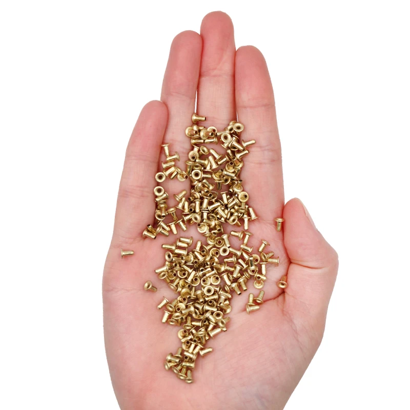 

12500pcs Bee Hives Installation Thread Hole Copper Plated Material About 1000g Net Weight Beekeeping Tools Copper Eyes