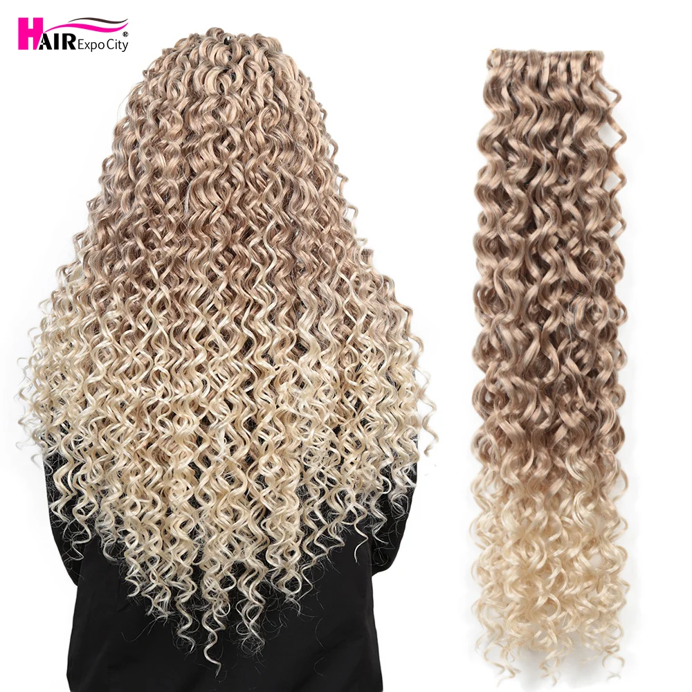 Afro Curls Water Wave Twist Crochet Braids Hair Synthetic Passion Twist Hair Extensions 22inch African Ariel Curls Hair Expo City