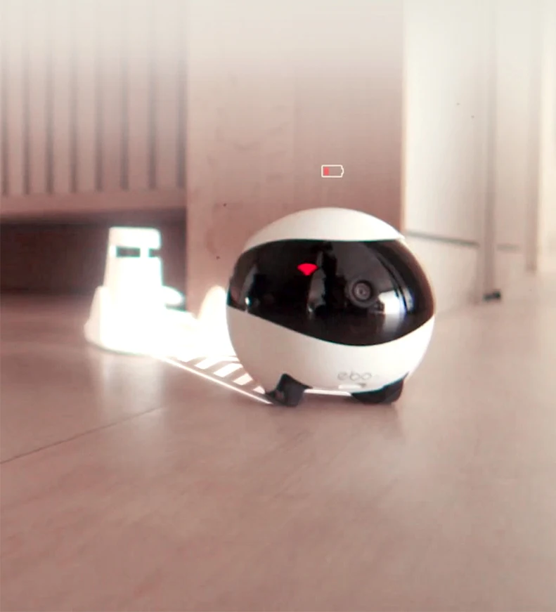 Ebo SE Catpal The Smart Robot Companion for Your Cat | Электроника