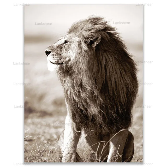

Scandinavian Lion Leopard Canvas Print Painting Flower Sand Poster Nordic Floral Landscape Modern Wall Art Picture Room Decor