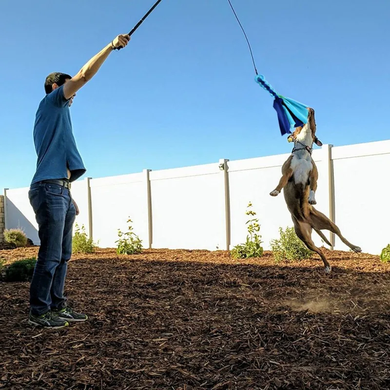 

Pet Dog Cat Toys Set Braided Rope Toys Teaser Stick Toys Interactive Retractable Extendable Dog Chase Rope Wand Toys 2pcs