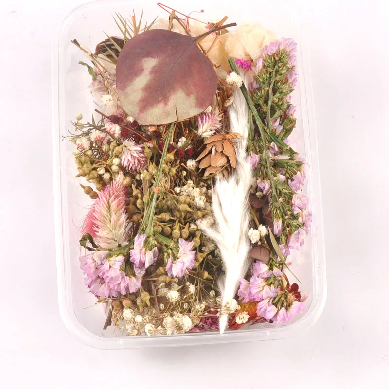 1 коробка случайные красочные настоящие сухие цветы растения для изготовления