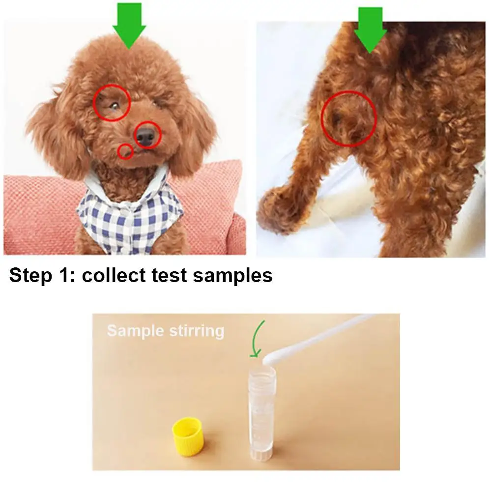 Papel de prueba para mascotas, equipo de detecci&oacute;n de salud para Distemper canino, tablero de detecci&oacute;n de plaga canina Cdv, para gato, perro-3