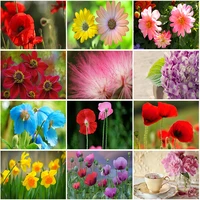 diy 5d diamond painting full round square resin mosaic diamonte embroidery cross stitch art handcraft various kinds of flowers