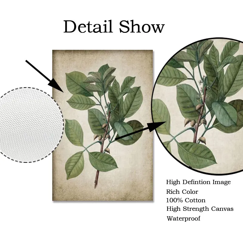 Зеленые настенные художественные принты с растениями ретро постер винтажный