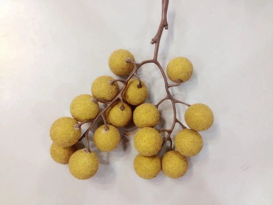 

Игрушечная фруктовая игрушка longan, модель фрукта Longan, искусственная имитация фруктов, играйте в игрушки и овощи, украшения для дома унисекс
