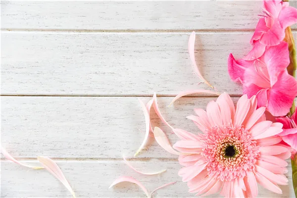 

SHUOZHIKE Q191027-58