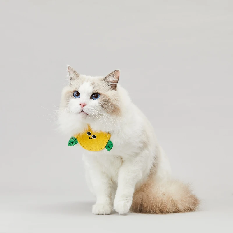 

PETKIT слюнявчик для домашних животных, слюнявчик для кошек, милый треугольный шарф для собак, ошейник для кошек, аксессуары для кошек, ошейник для собак с защитой от удушения, безопасная пряжка