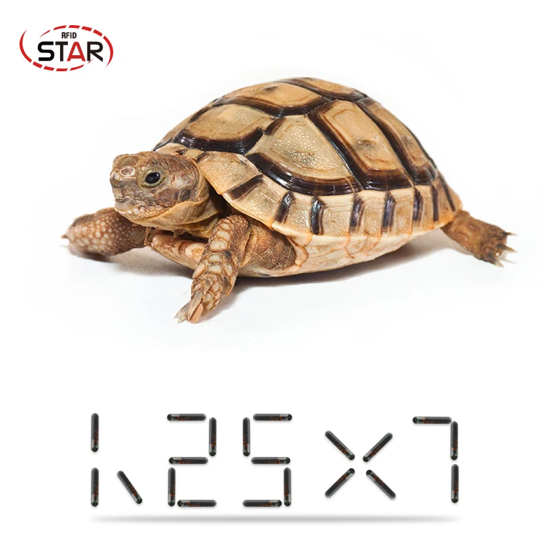 1 25*7 мм мини-размер Rfid 134 2 кГц микрочип для домашних животных чип кошки собаки